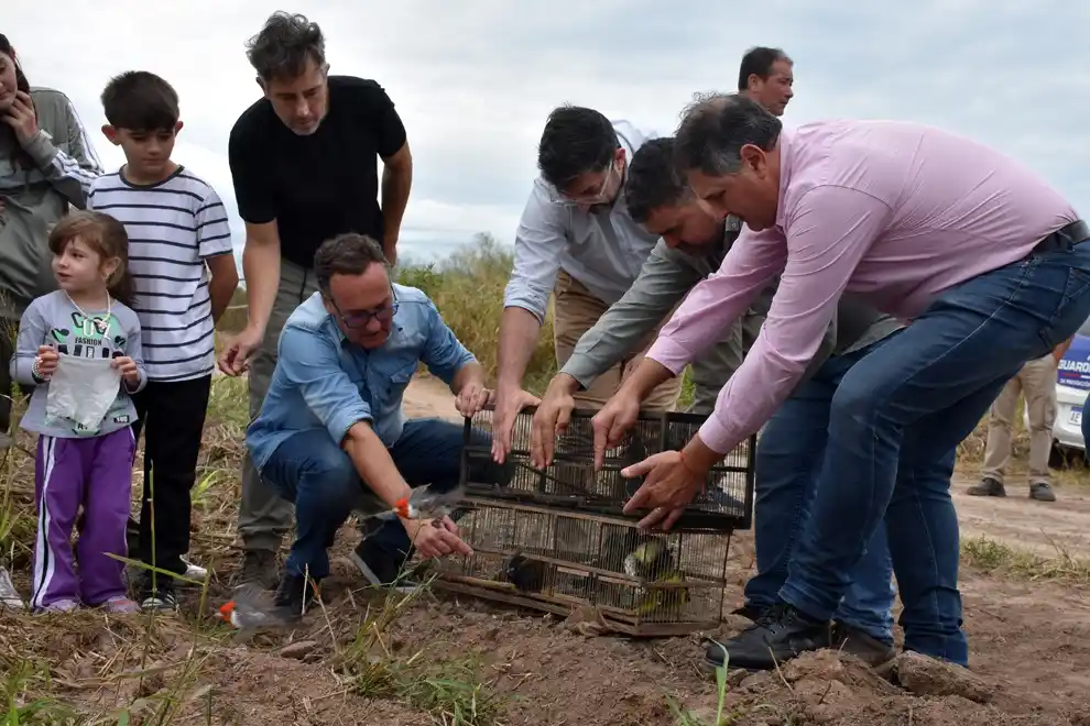 aves silvestres en Balnearia