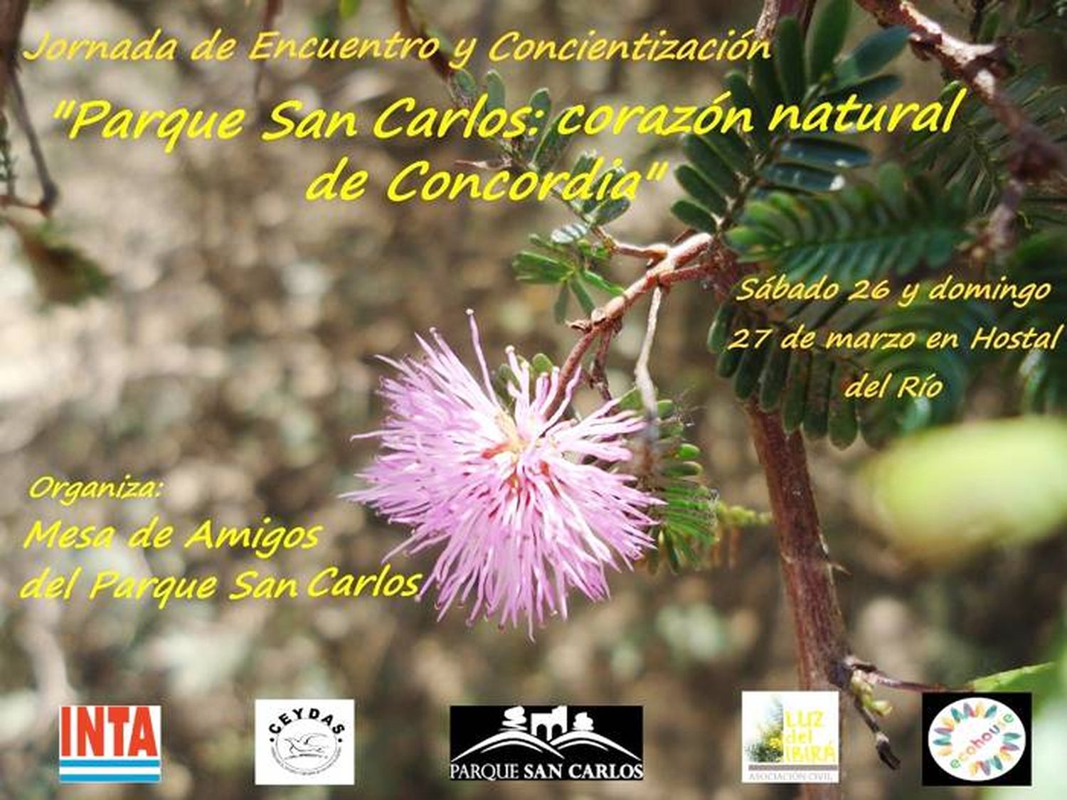 Jornada de Encuentro y Concientización �SParque San Carlos: corazón natural de Concordia⬝