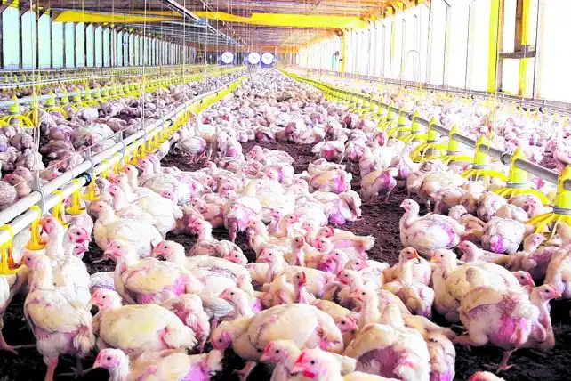 Exportaciones entrerrianas abastecen a más de 130 mercados