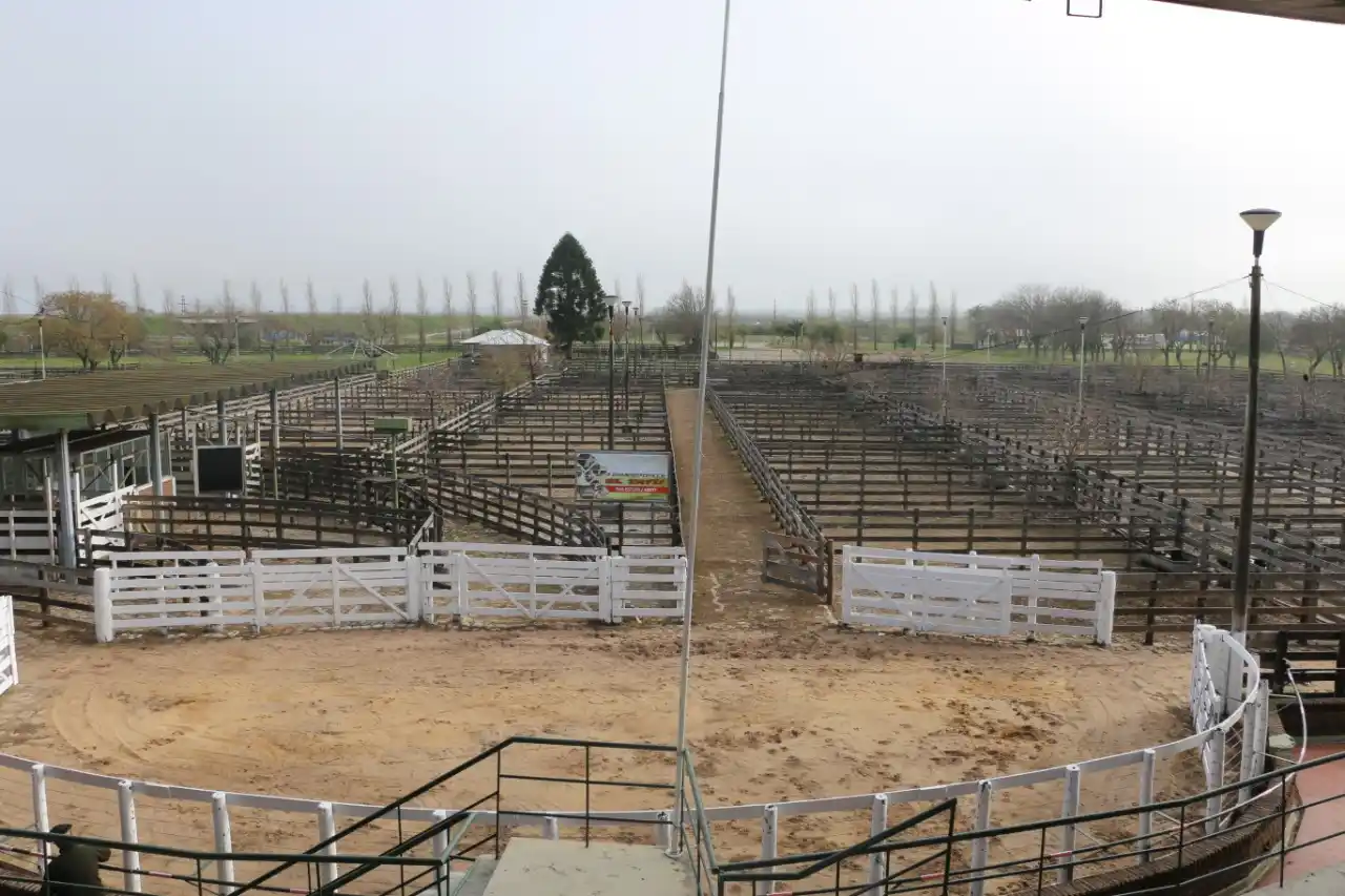 Confirmaron el programa de actividades del Remate Especial de la Rural