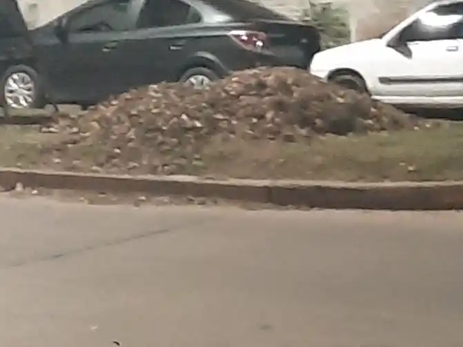 “¿No les dan bolsas?”: reclamos por cómo dejan la basura los empleados municipales