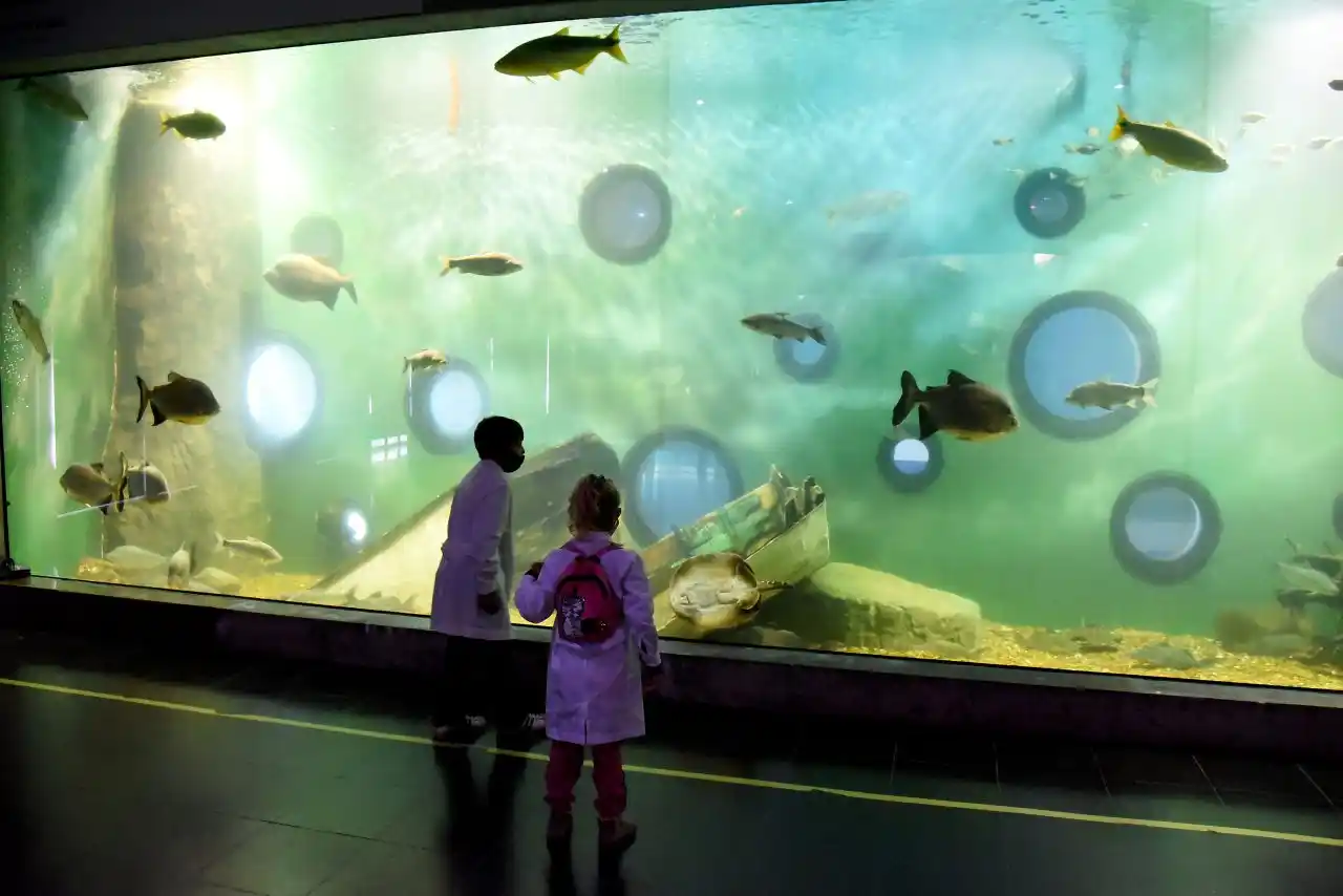 Escuelas rurales de la provincia podrán acceder gratuitamente al Acuario del Río Paraná