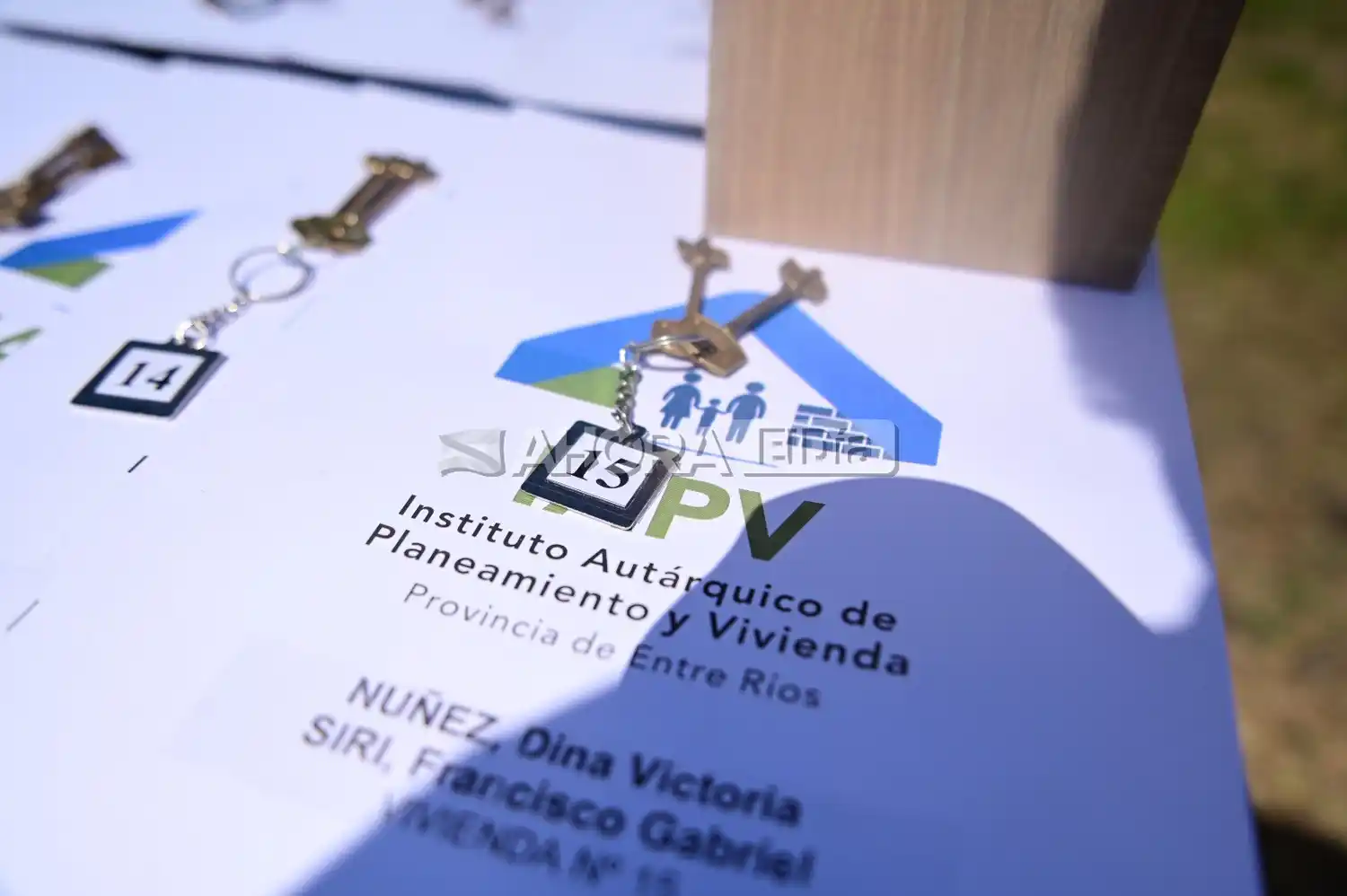 30 viviendas iapv vicoer frigerio davico entrega - 10