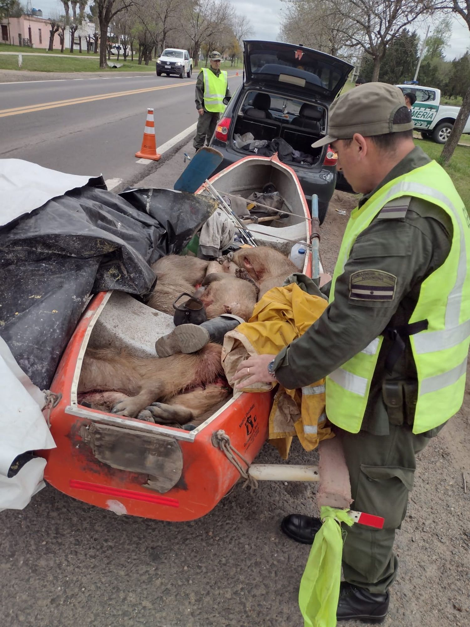 Gualeguay: secuestraron vehículo con armas y animales