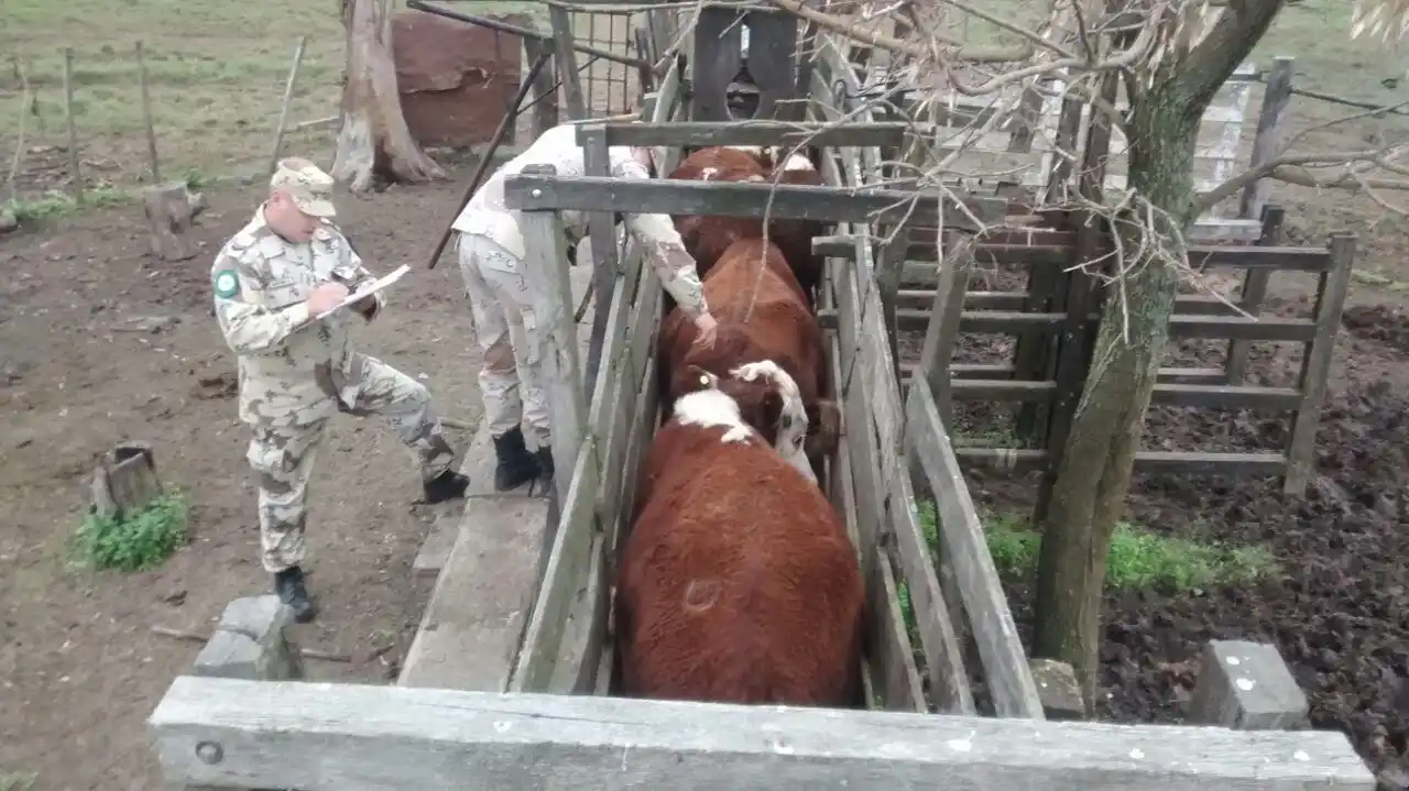 Vendió los animales sin permiso del propietario