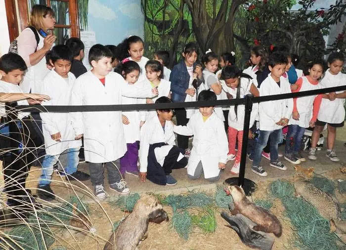 XXV Aniversario de la inauguración del Museo de  Antropología y Ciencias Naturales de Concordia