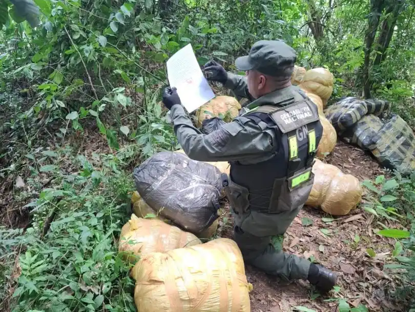 A la vera del Paraná: gendarmes hallaron más de 189 kilos de marihuana ocultos entre la vegetación