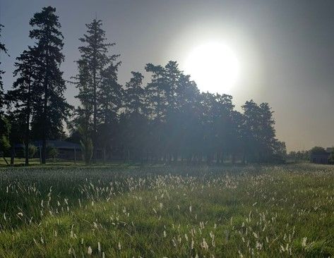 Mañana soleada en la ciudad.