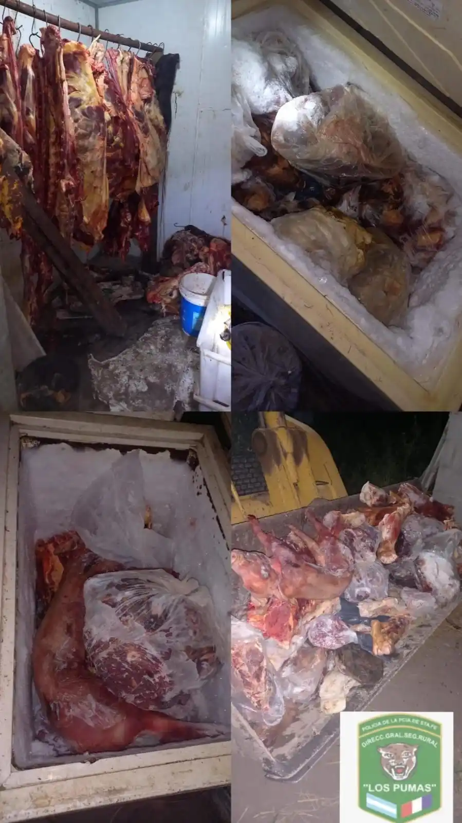 Decomisan 700 kilos de carne en mal estado en Ataliva