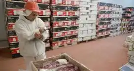 En ocho meses, ya se exportó más carne que en todo 2017
