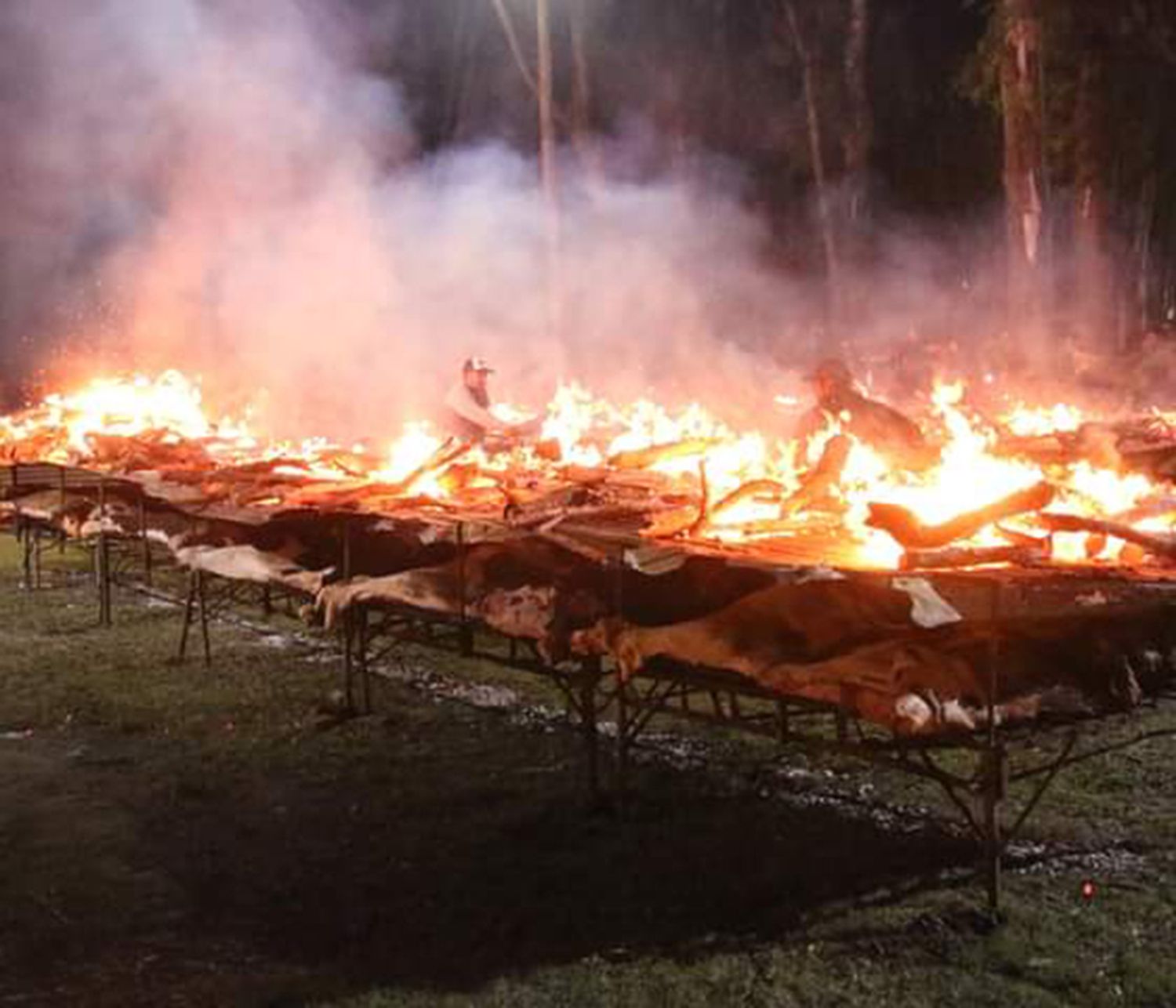 Fiesta de la Vaquillona asada con cuero de General Pinto: 30 mil kilos de leña y más de doce horas de cocción