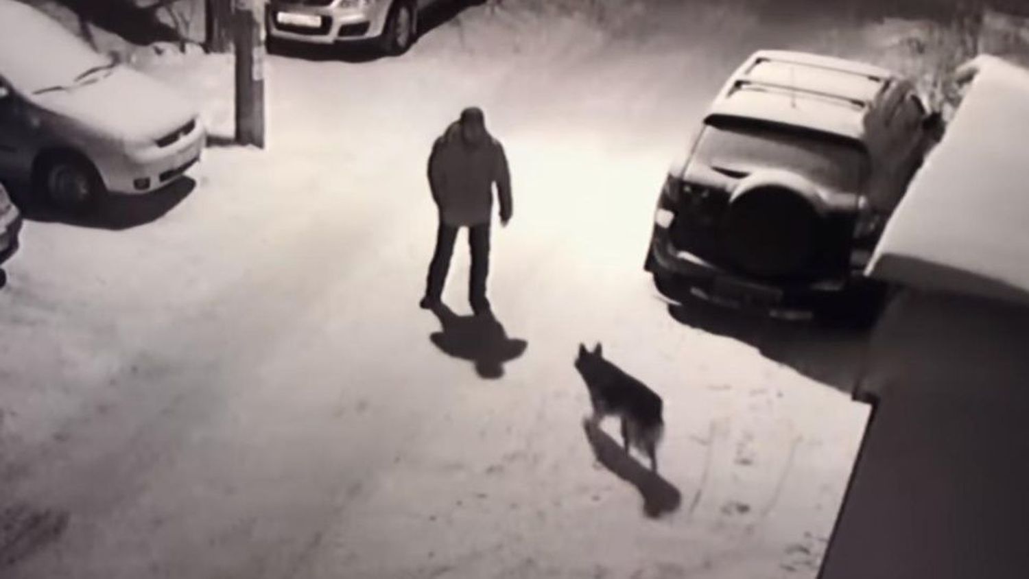 Borracho caminaba por la calle, pateó a un perro y tuvo su merecido