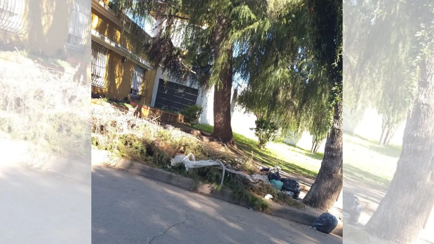 Basura en la calle frente a la Escuela Normal