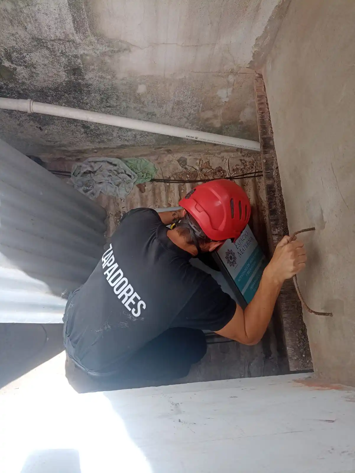 gatito atrapado claraboya - 3