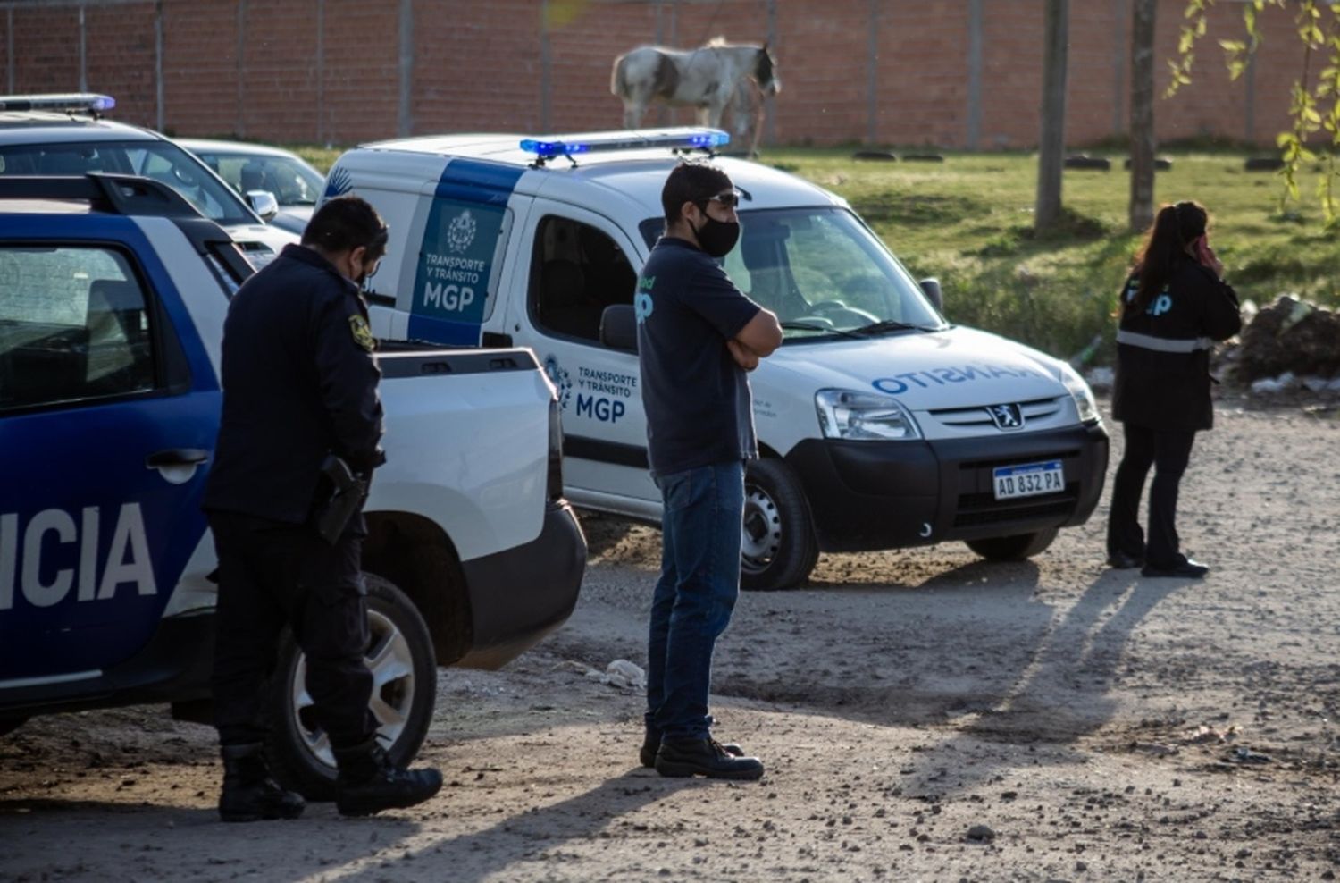 El Municipio intervino en más de 100 casos por caballos sueltos en la vía pública