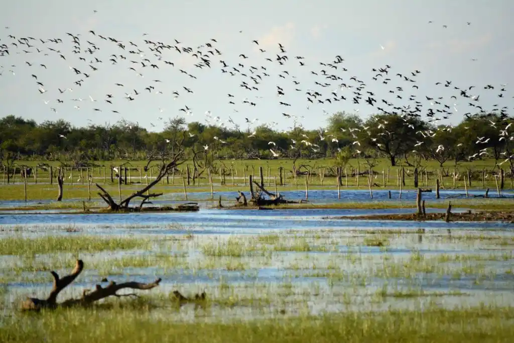 El Senado sancionó la creación del Parque y Reserva Nacional Ansenuza