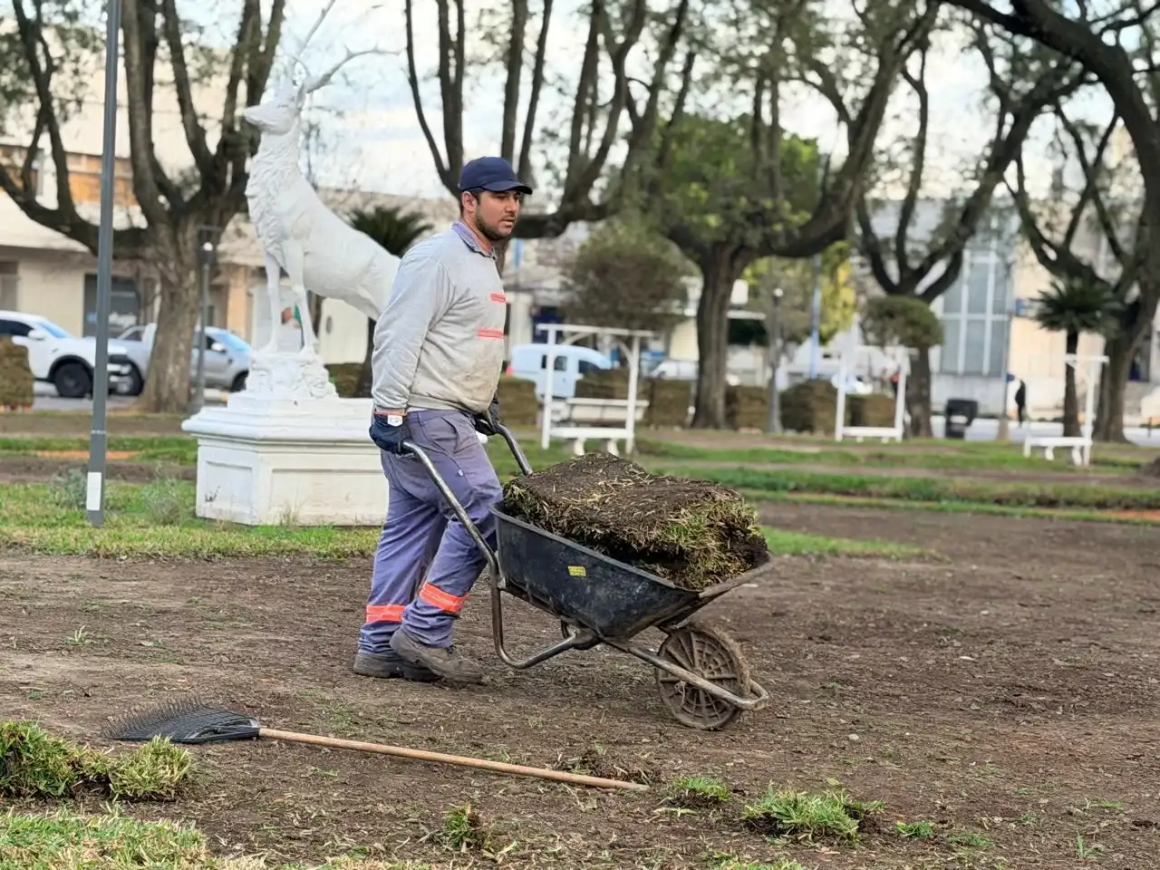 La Plaza 25 de Mayo de Rafaela entra en la etapa final de su renovación - 1