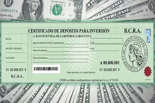 Blanqueo de fondos: Los Bonos Cedin serán de libre utilización