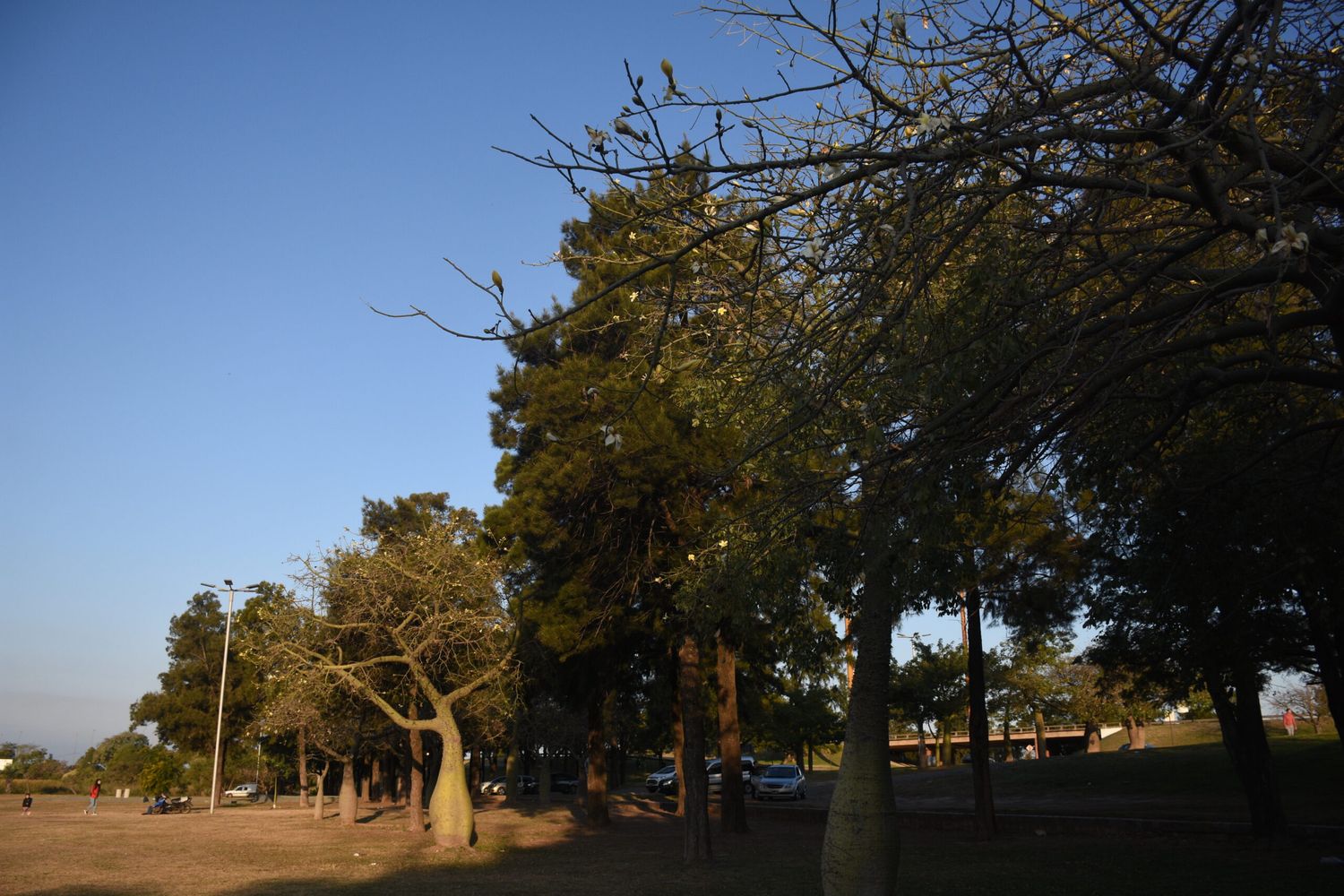 Lunes despejado y con viento en la ciudad de Santa Fe