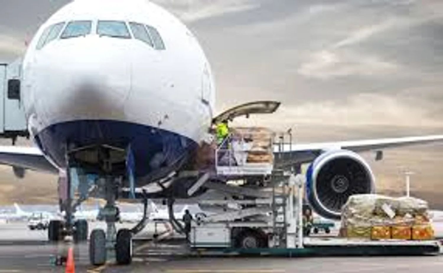 Para agilizar trámites y reducir cargas, ARCA simplificará controles a exportaciones aéreas