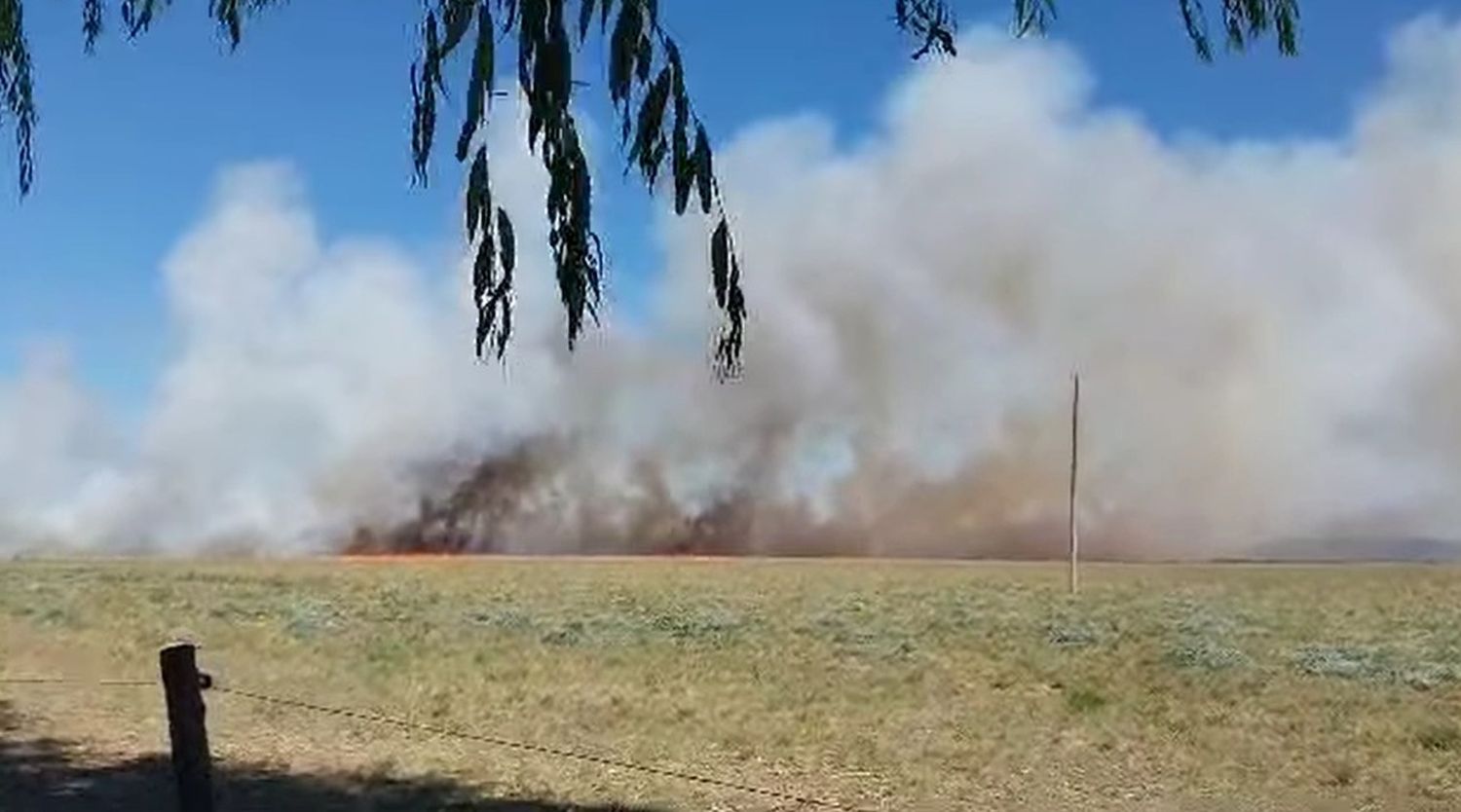 Emergencia en Castelli: un incendio fuera de control moviliza bomberos de toda la región