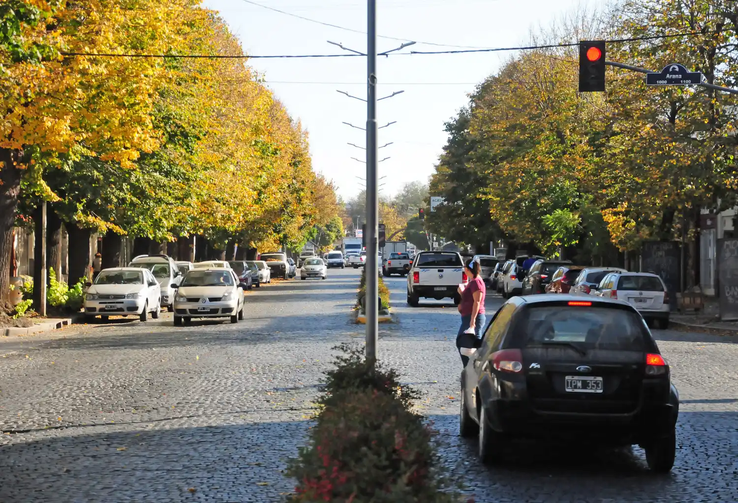 Olor a tilo florecido: por qué pasear por avenida Colón en Tandil es una fiesta para el olfato
