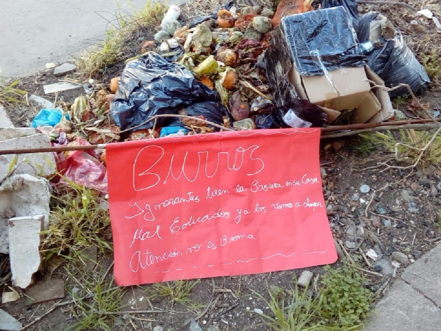 Los minibasurales causan malestar entre los vecinos 