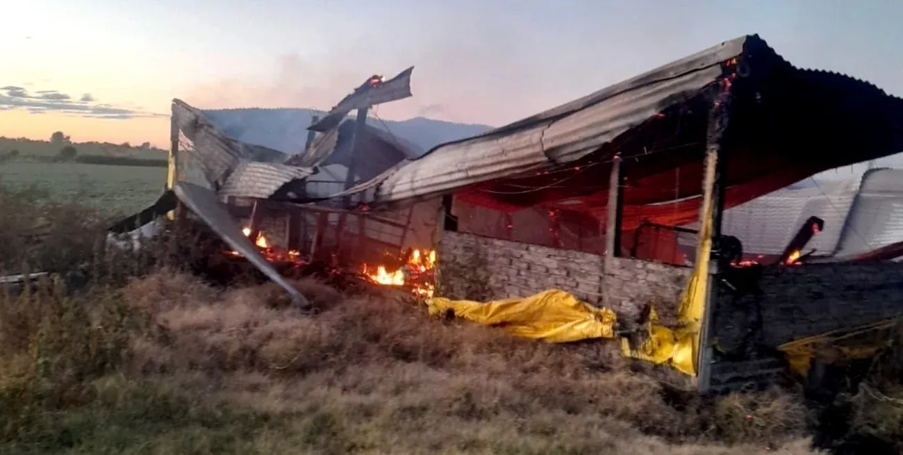 Un incendio destruyó un criadero porcino y y murieron 500 animales