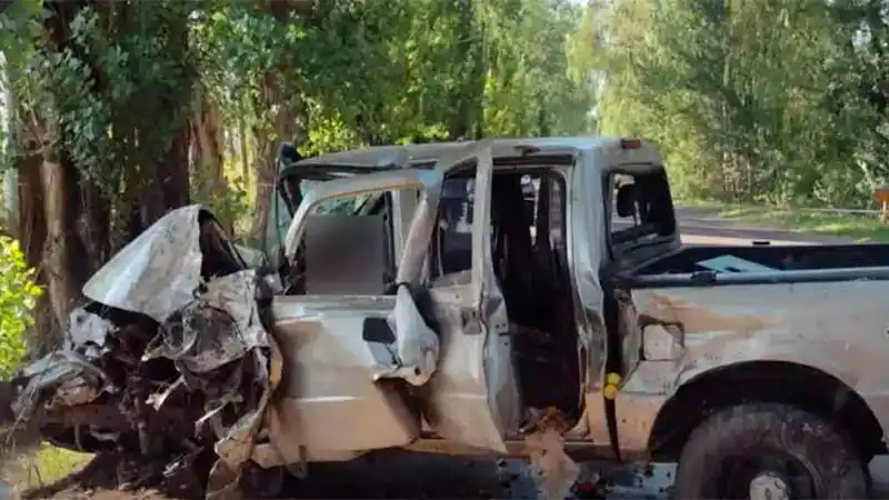 Murió una mujer de 35 años tras chocar su camioneta contra unos árboles: iba con sus dos hijas