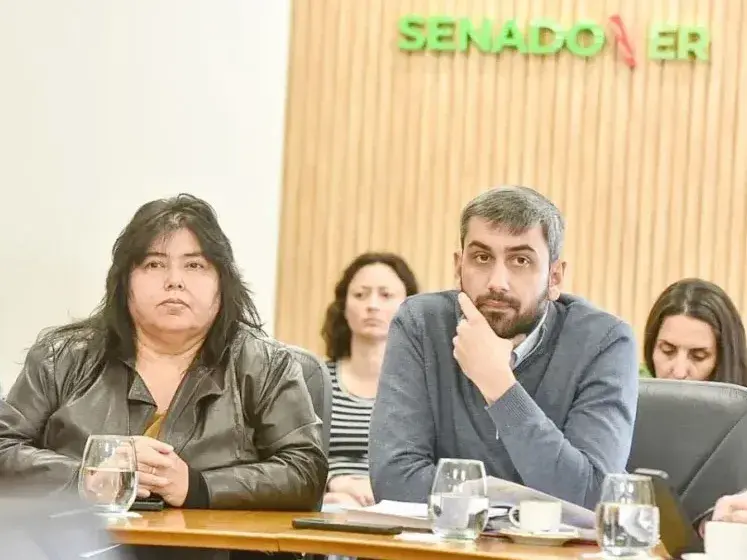 Comisiones del Senado volverán a abordar la media sanción de Diputados al proyecto de Ficha Limpia para Entre Ríos
