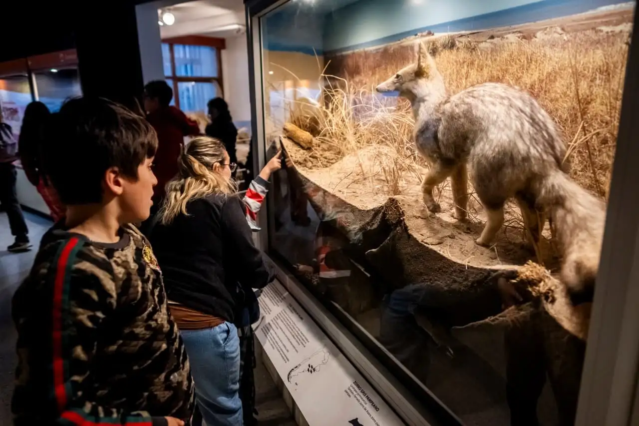 El lunes 18, en el marco del Día Internacional de los Museos, la entrada será libre y gratuita.