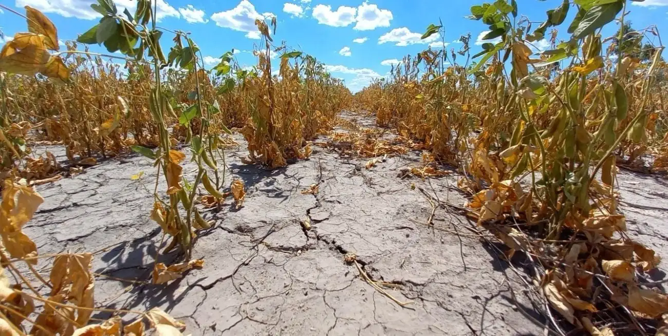 Emergencia Agropecuaria