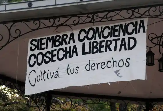 Tandil se sumó al pedido para que se implemente el Registro del Programa Cannabis