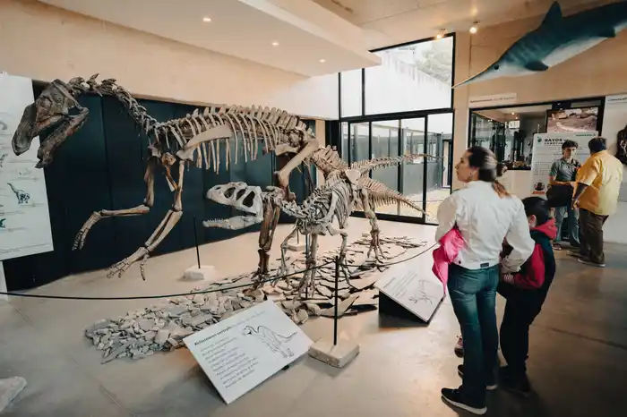 Museo de Ciencias Naturales