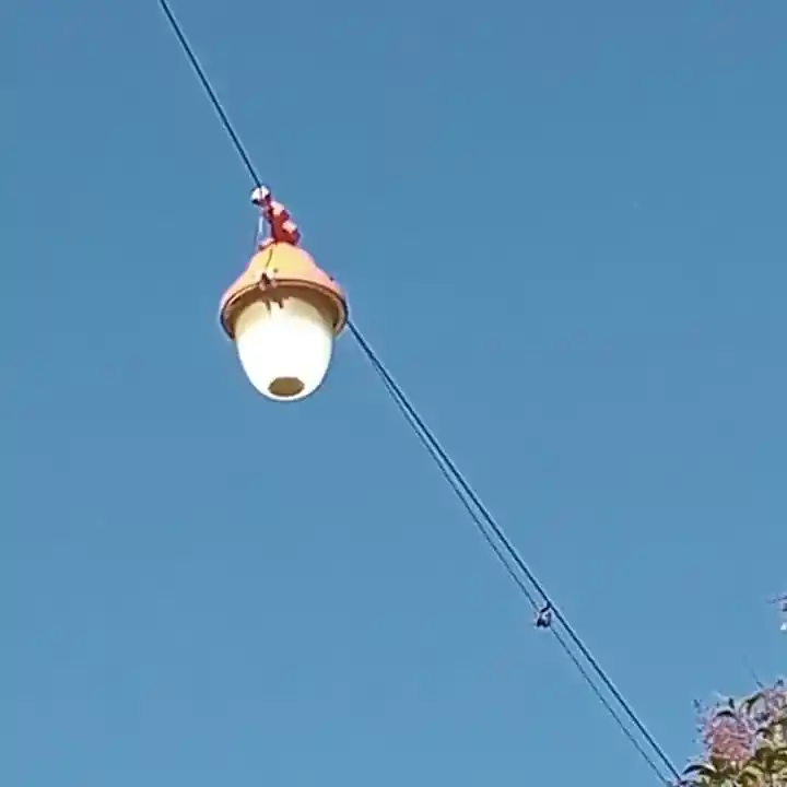 Reclamos por luces prendidas en calle Maino