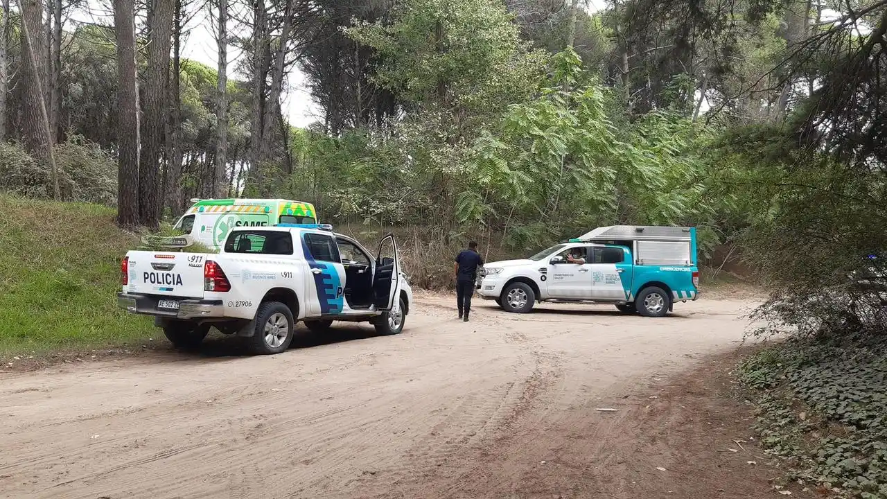 Pinamar: Más de 10 dotaciones de bomberos para combatir incendio en reserva natural