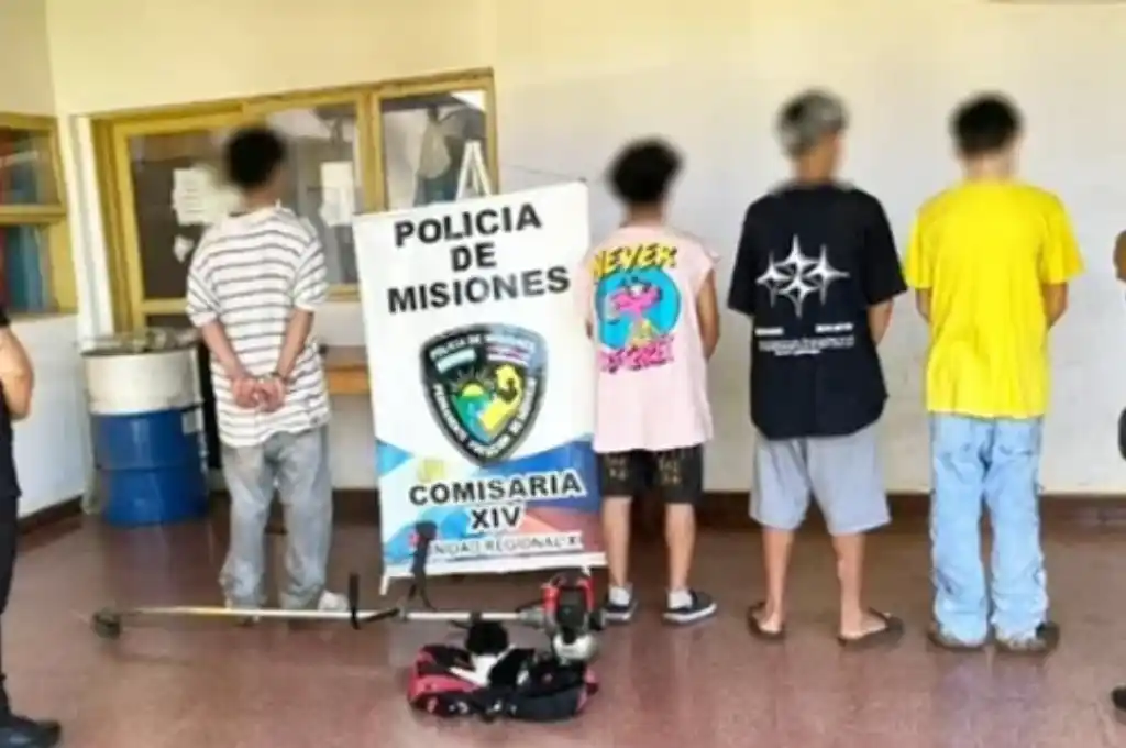 quiso matar a un caniche 2