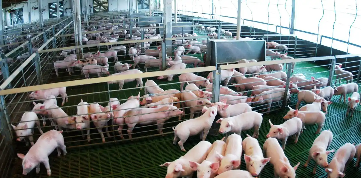 El semáforo de las economías regionales: 13 de 19 quedaron en rojo