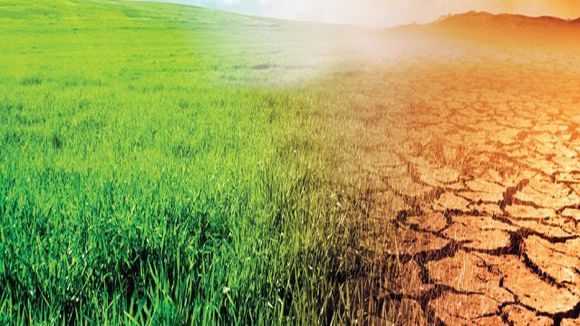 España realiza ensayos para adaptar la agricultura a un futuro más seco