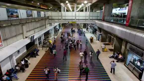 ¿Con qué se sienta la cucaracha? Han llegado 50 % más turistas que en 2022 y se espera que superen el millón