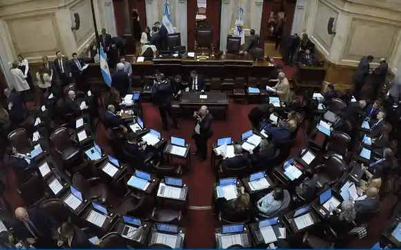 El Senado debatirá el rechazo del veto a Discapacidad y reforma de los DNU
