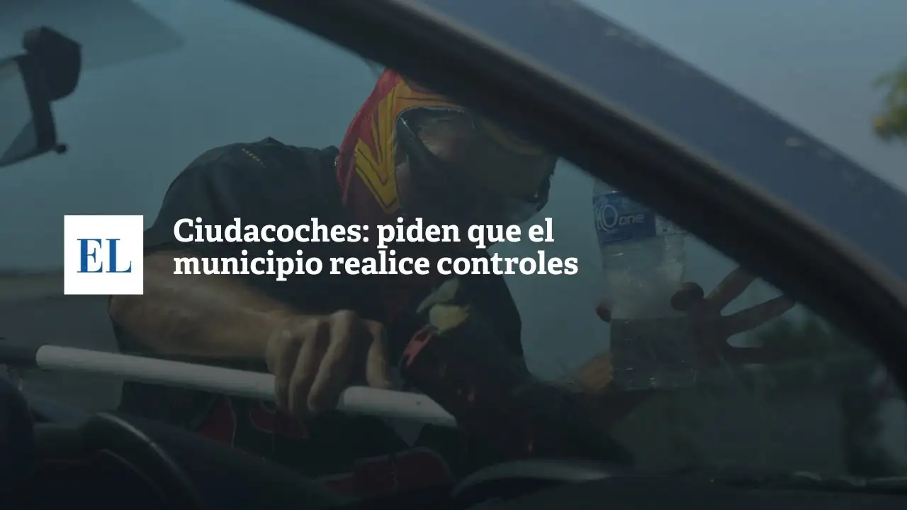 Cuidacoches: piden que el municipio realice controles