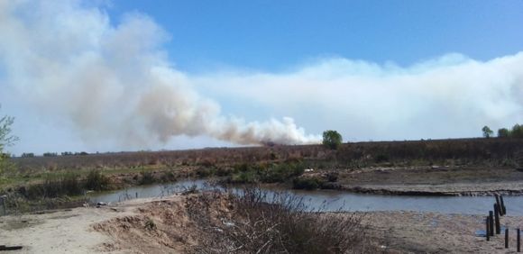 Ecocidio en las islas: Prefectura y Defensa Civil asistieron en Los Molinos, donde el viento permitió que el fuego no llegue a la vivienda