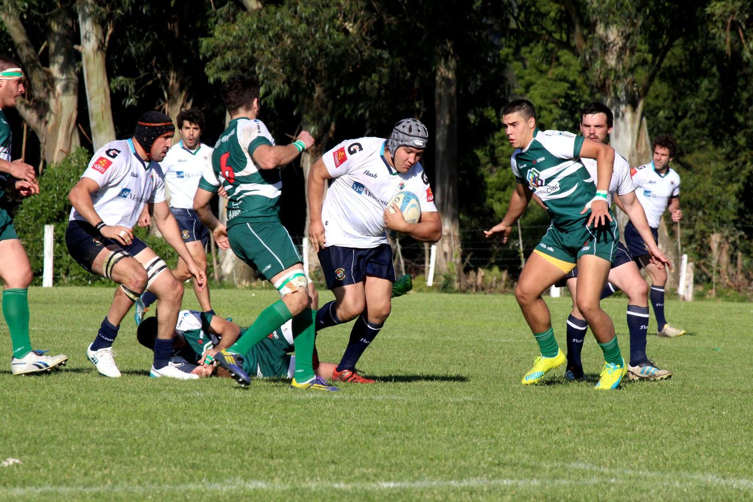 Rugby: Mar del Plata venció a Alto Valle y está segundo