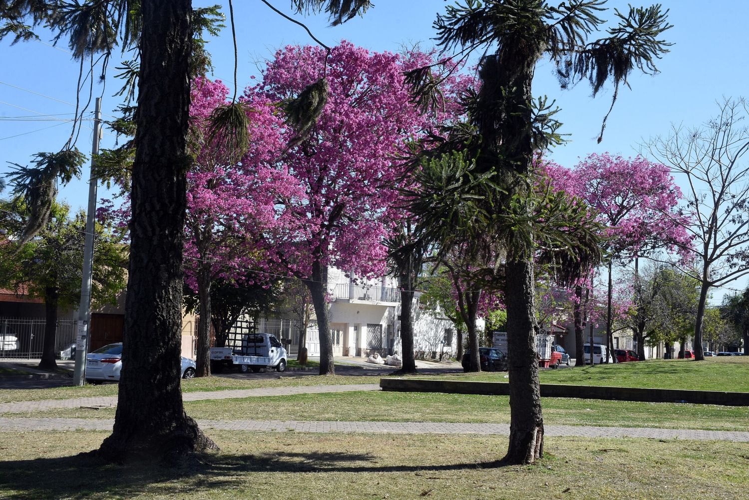 Alerta amarillo por altas temperaturas para este martes en la ciudad de Santa Fe