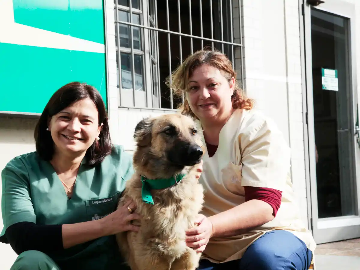  Entre ambulancias y sirenas: Tony, el perrito de las emergencias    