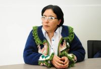 A través de una ordenanza, buscan regular los espacios que difunden la cultura