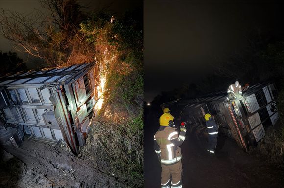 Volcó un camión jaula en la región y los Bomberos intervinieron para rescatar a los animales
