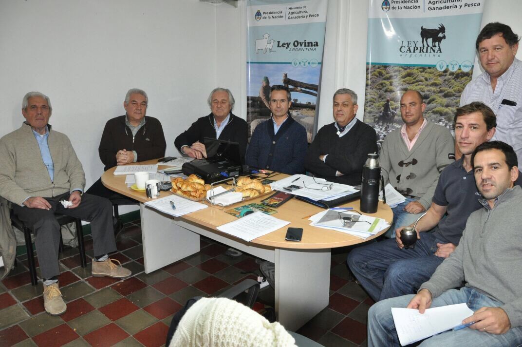 El Gobierno bonaerense aprobó 18 nuevos proyectos de producción ovina