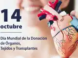 14 de octubre: Día Mundial de la Donación de Órganos, Tejidos y Trasplantes